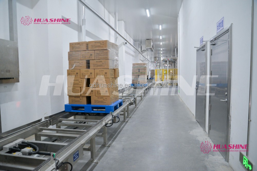 Automated Warehouse Storage ASRS Pallet package flow rack
