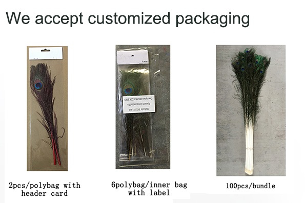 Verpackung und Versand