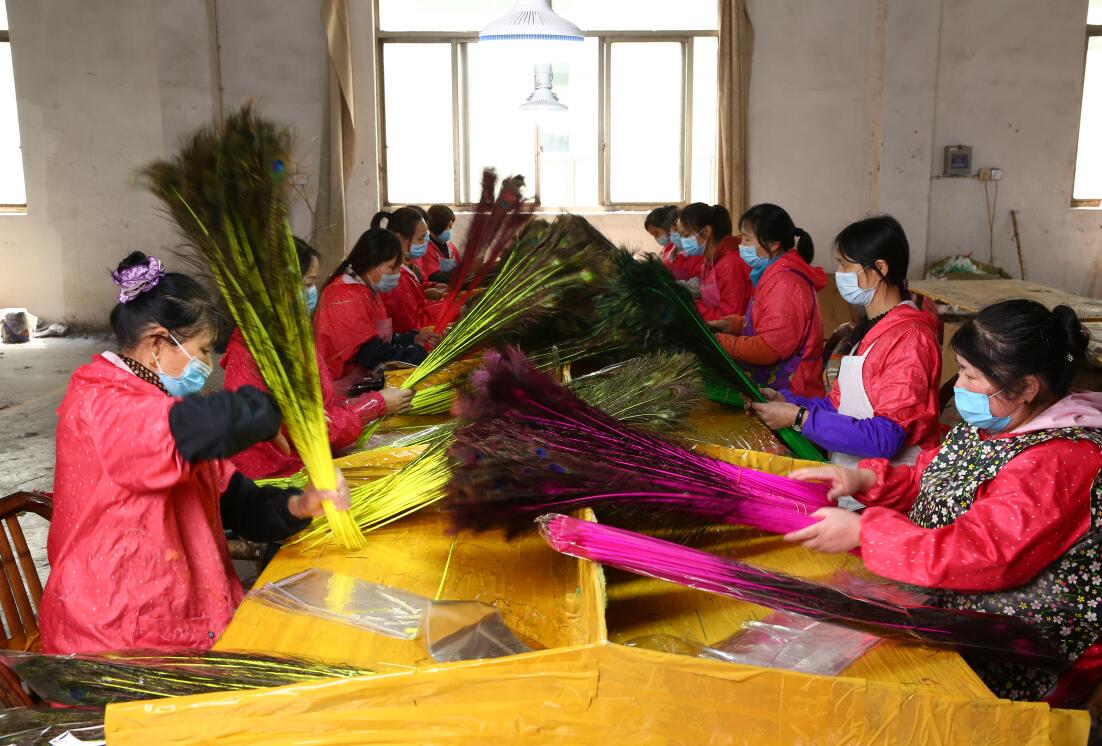 Gefärbte, natürliche Goldpfauenfeder für Partys, Karneval, Zuhause, Hochzeiten, Tischdekorationen, Weihnachtsvasen, Festtagsdekorationen, DIY-Bastelarbeiten, Blumen