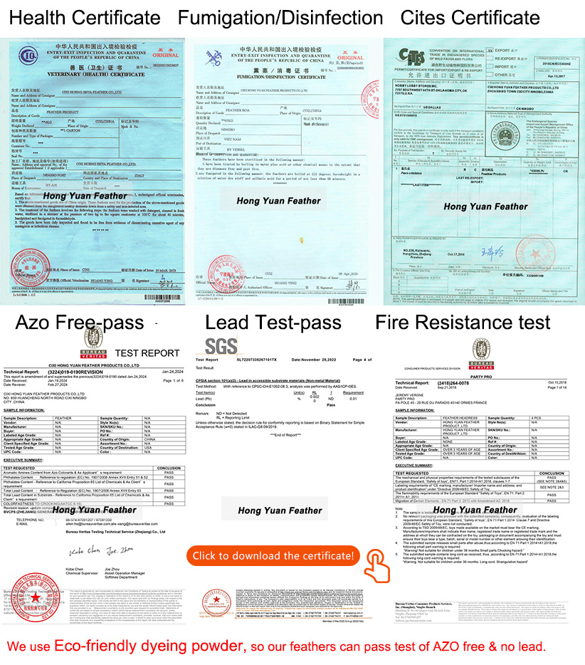 Zertifikat 1