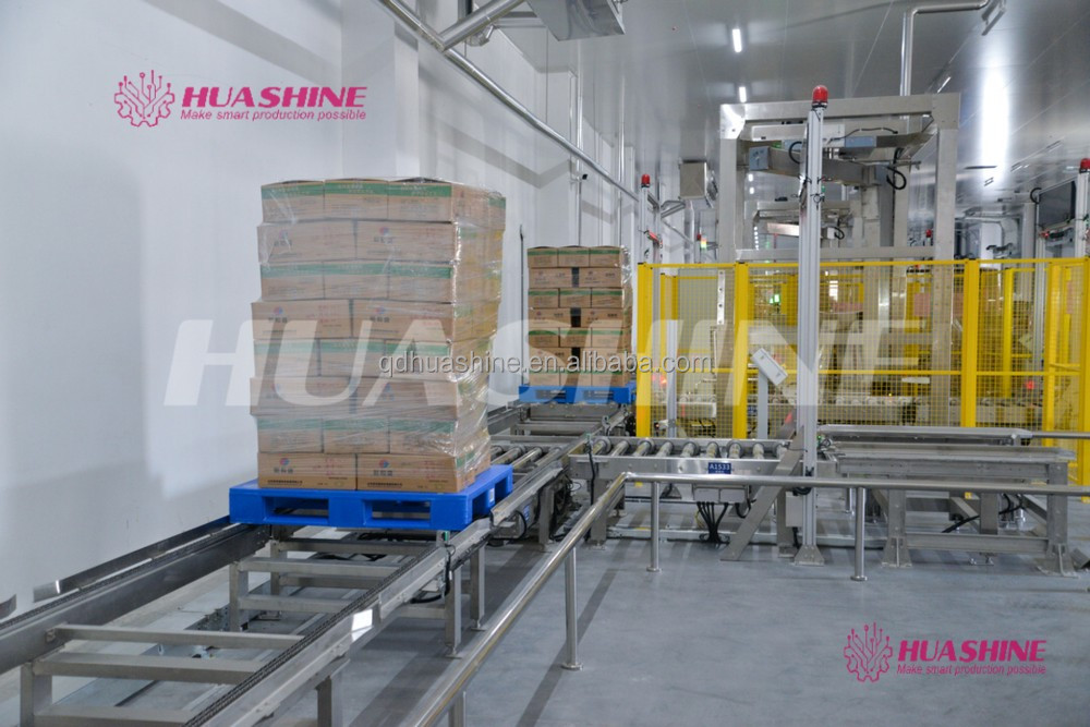 Automated Warehouse Storage ASRS Pallet package flow rack