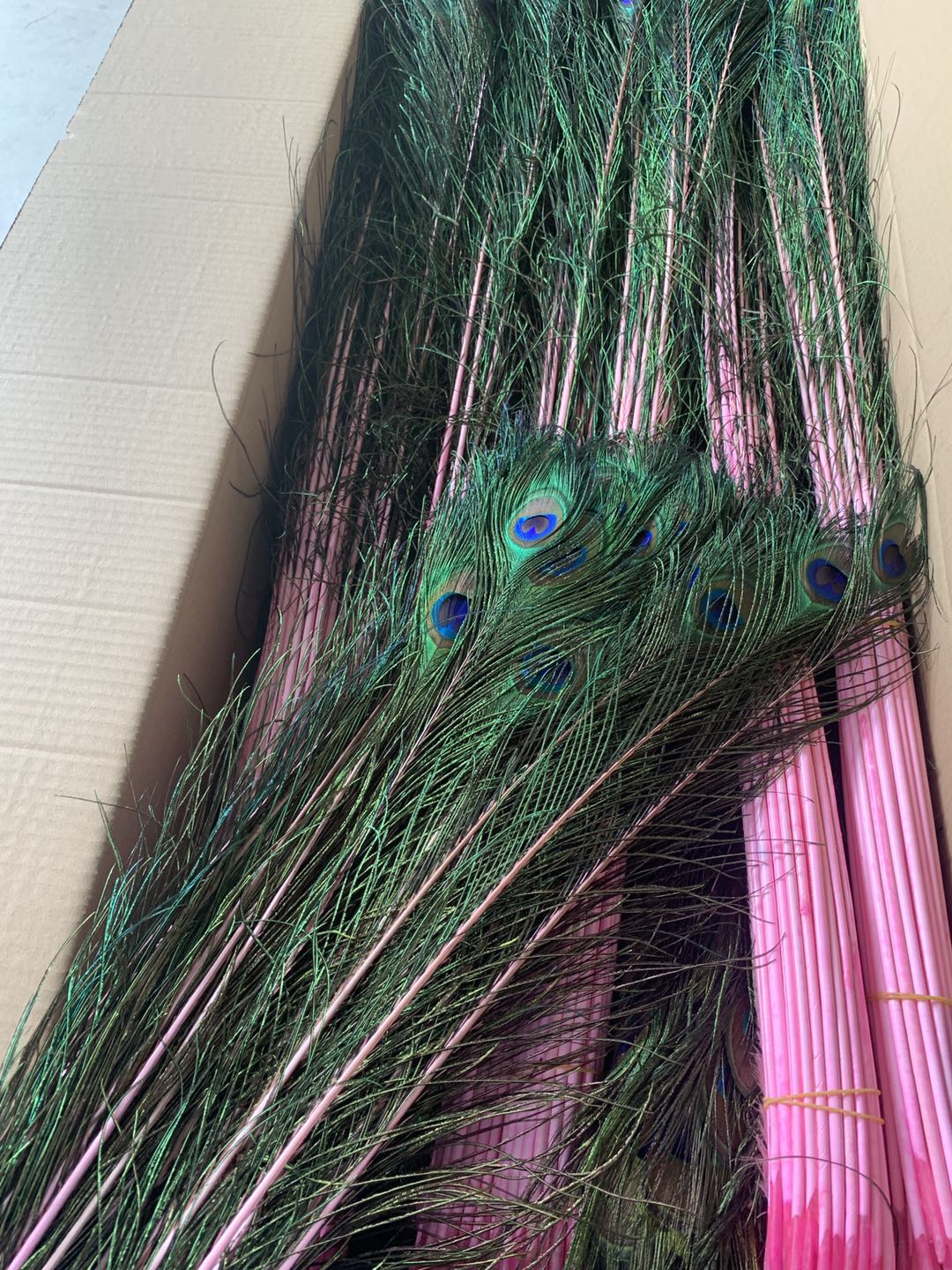 Gefärbte, natürliche Pfauenfedern in großen Mengen für Partys, Karneval, Heimdekoration, Hochzeiten, Tischdekorationen, Weihnachtsdekorationen, DIY-Bastelarbeiten, Blumenkostüme